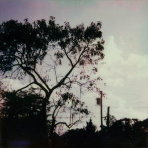 乳首各种奶头在线看
