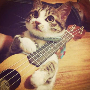 乳首各种奶头在线看
